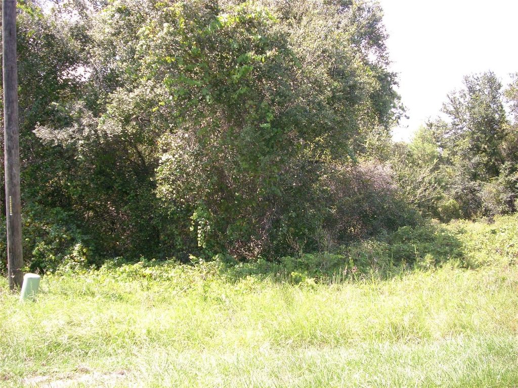 Photo of 1343 Congo Court, Kissimmee, FL 34759 (MLS # S5135086)