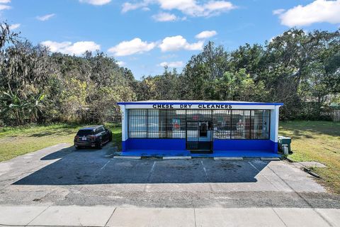 Photo of 822 SW Broadway Street, Ocala, FL 34475 (MLS # OM699953)