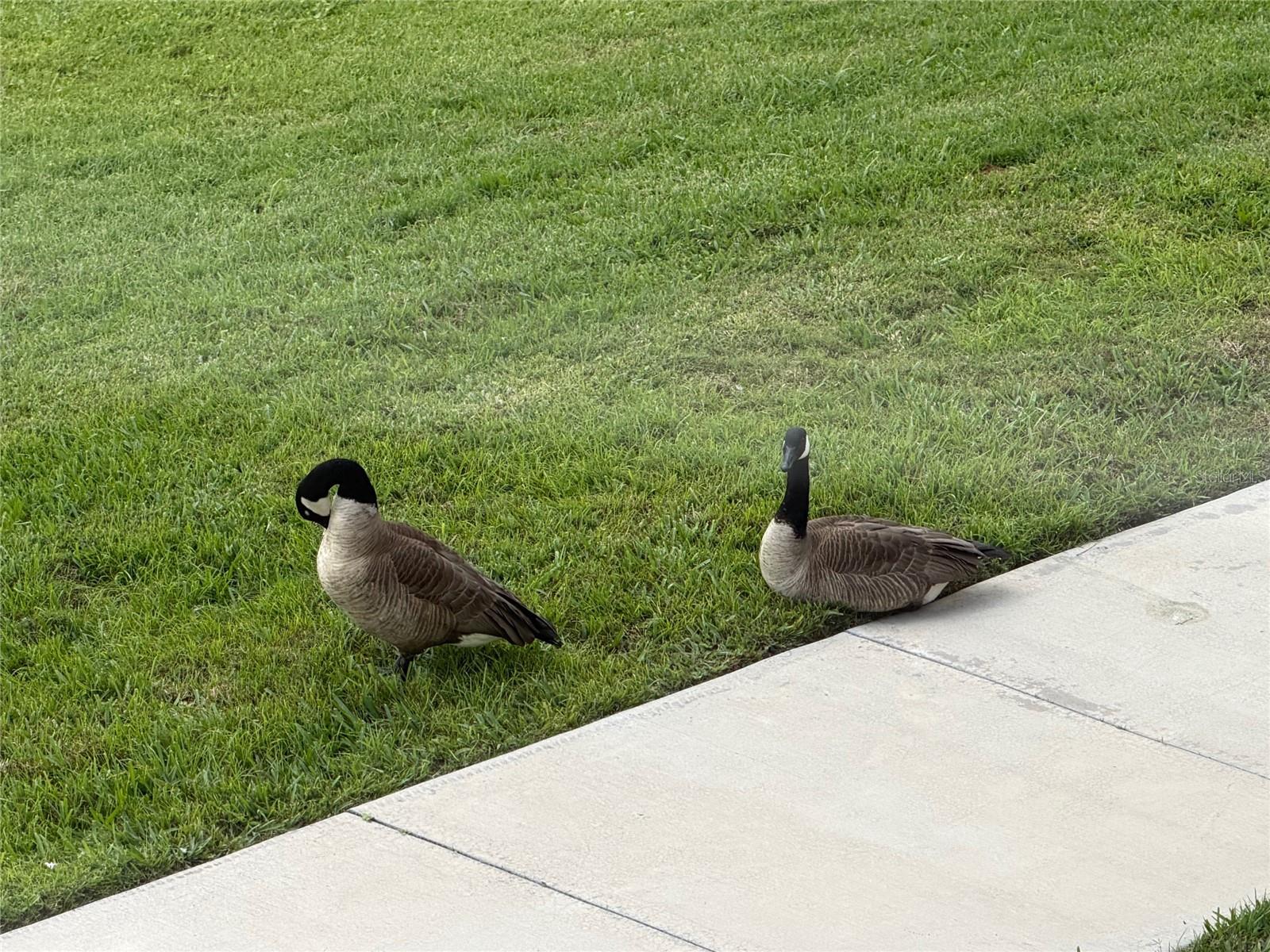 HIDDEN LAKE PH 1 - Residential