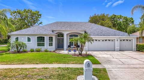 18902 SAINT LAURENT DRIVE LUTZ FL 33558