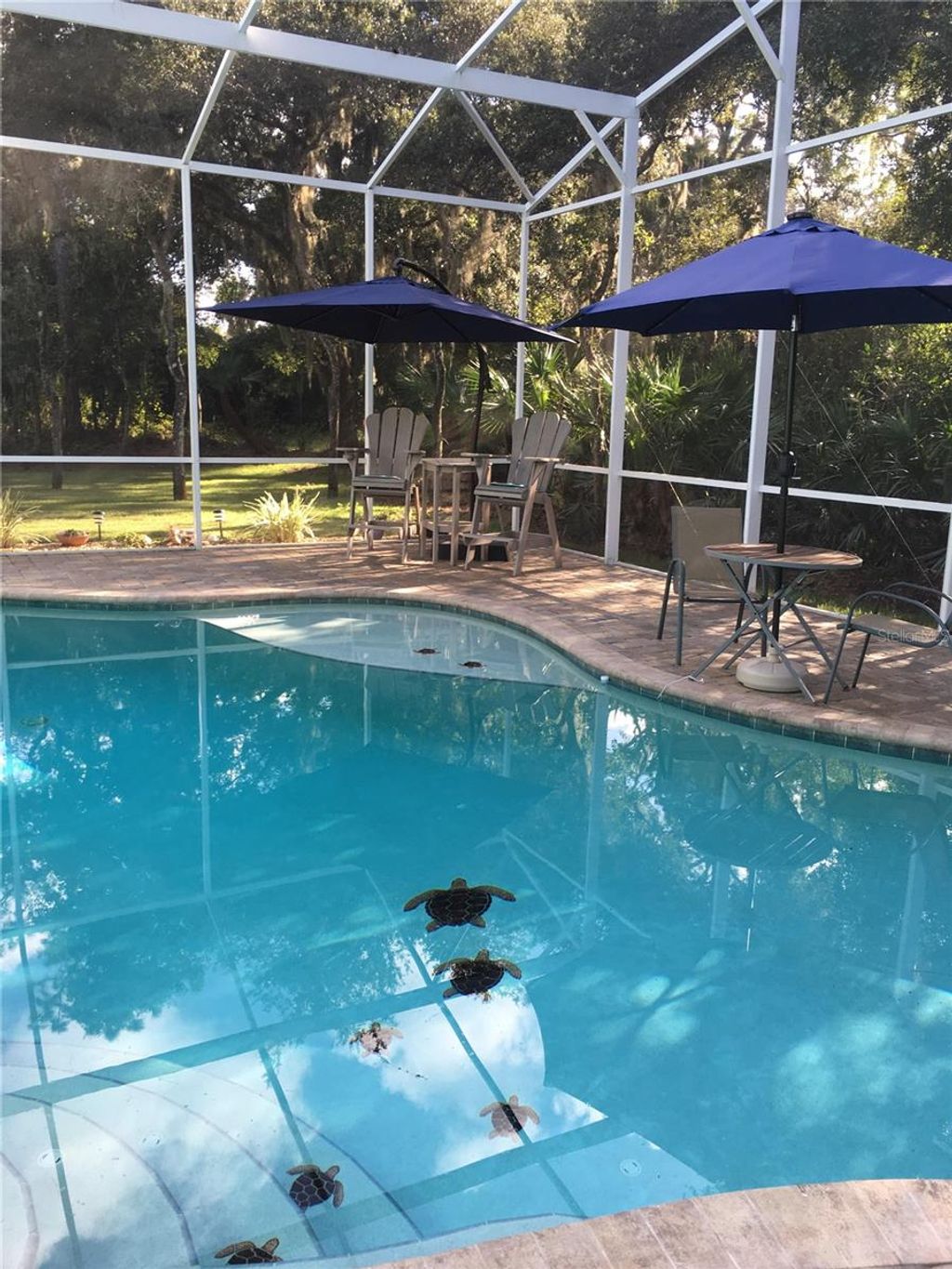 listing image 49