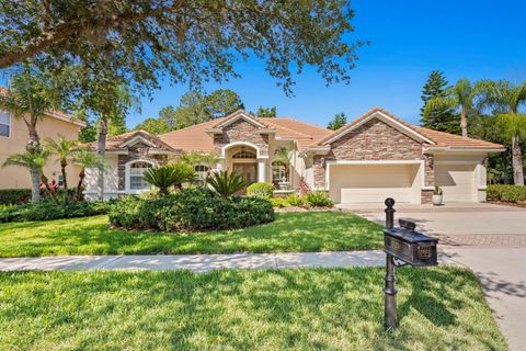 Single Family Residence in TAMPA FL 17238 EMERALD CHASE DRIVE.jpg