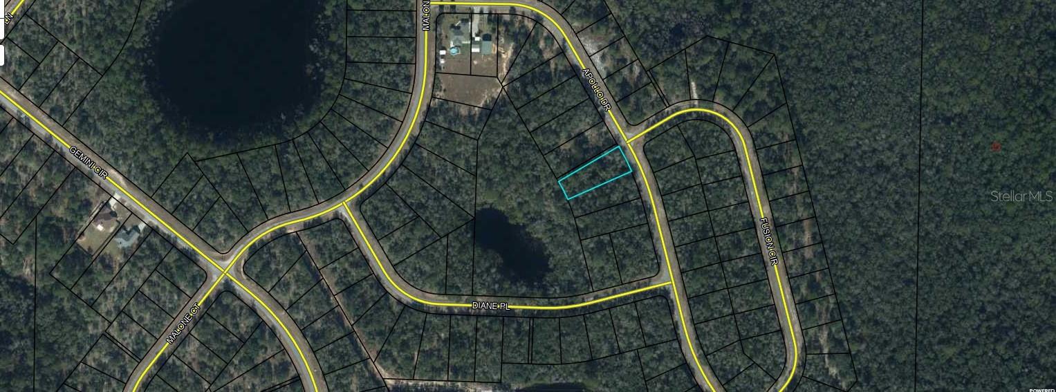 Large Buildable Lot! Sunny Hills Florida