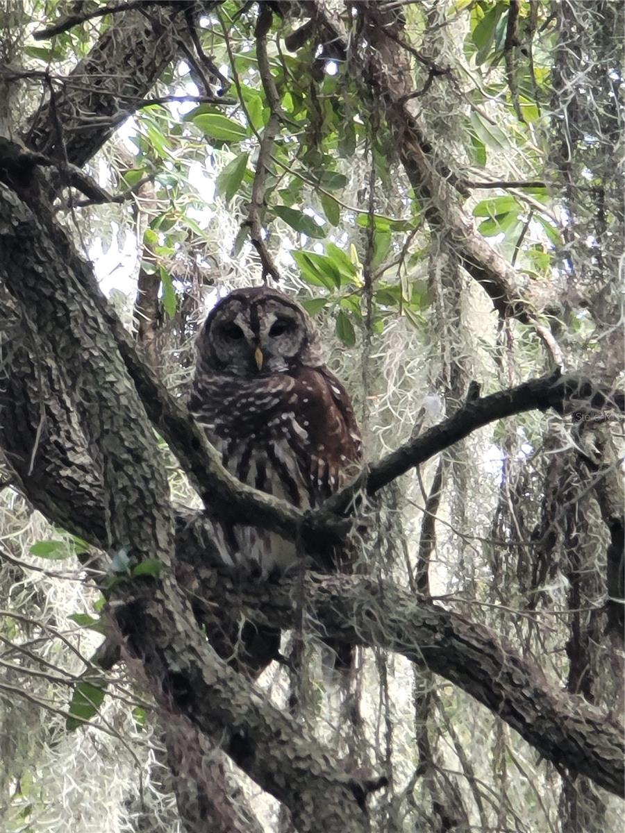 RIVER GROVE ESTATES - Residential