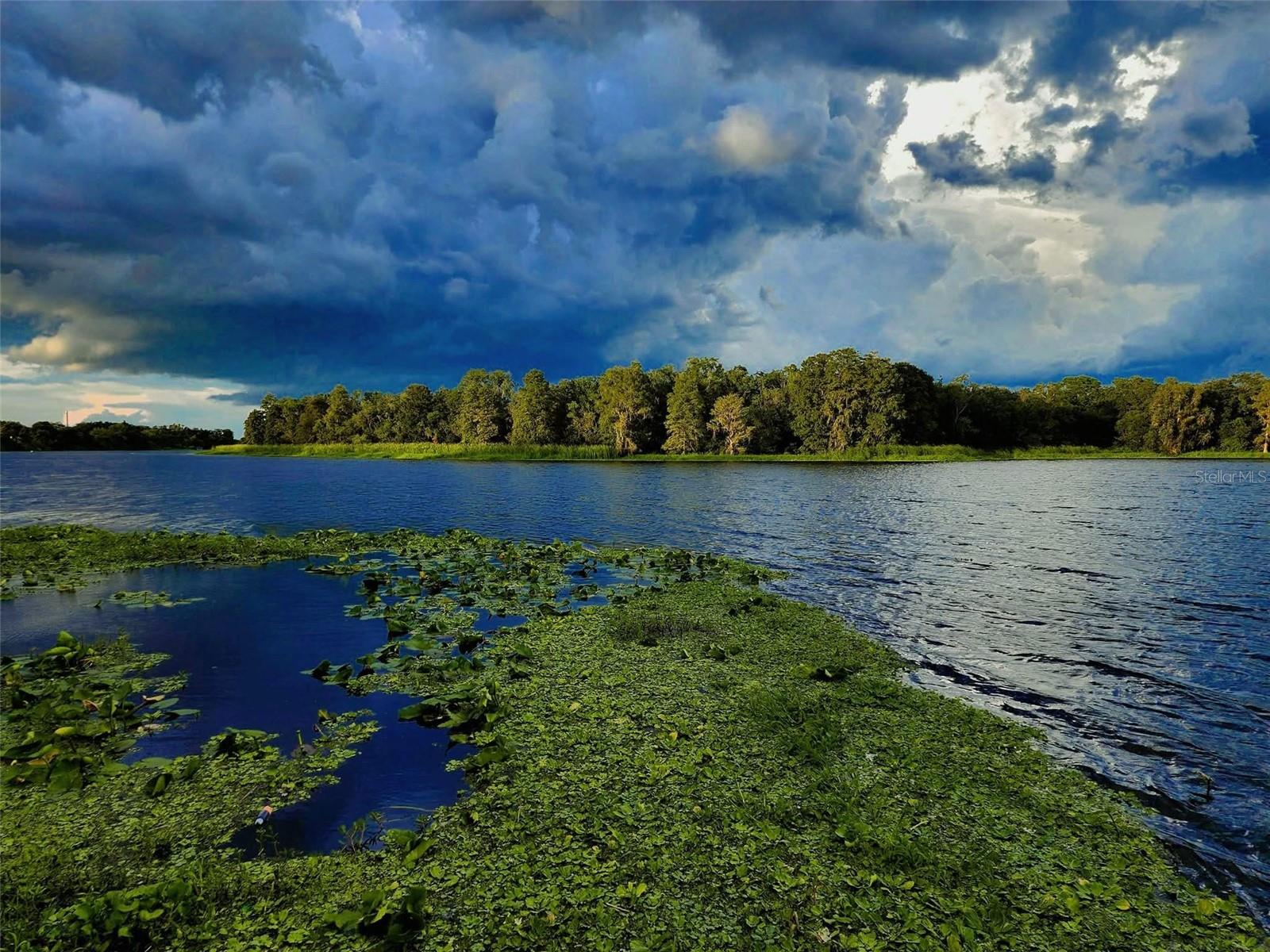 RIVER GROVE ESTATES - Residential