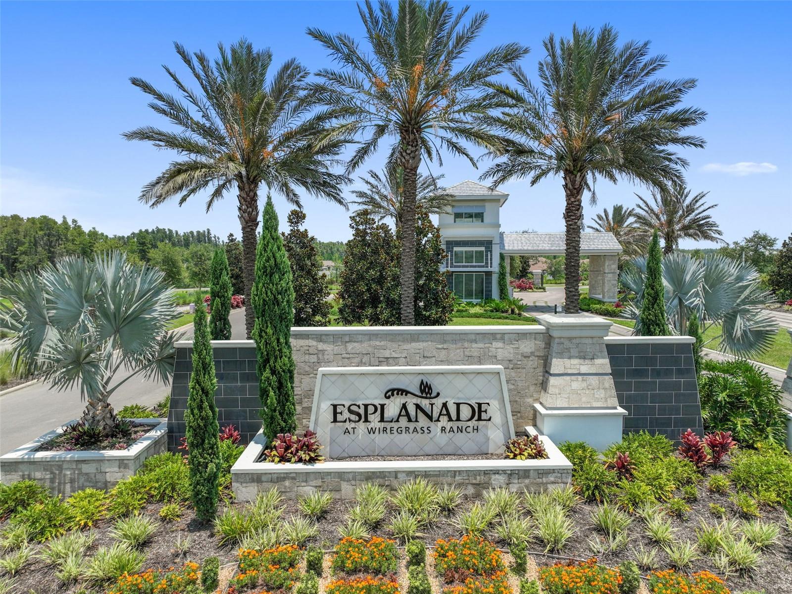 ESPLANADE AT WIREGRASS RANCH - Residential