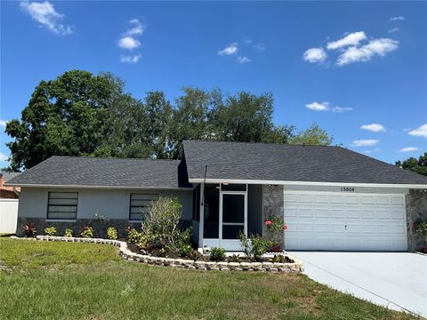 15604 TIMBERLINE DRIVE TAMPA FL 33624