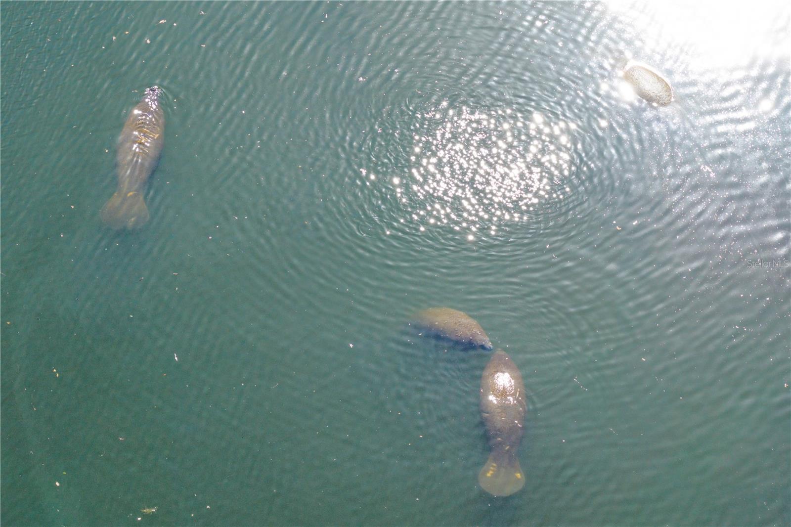 SNELL ISLE BRIGHTWATERS SEC 2 - Residential