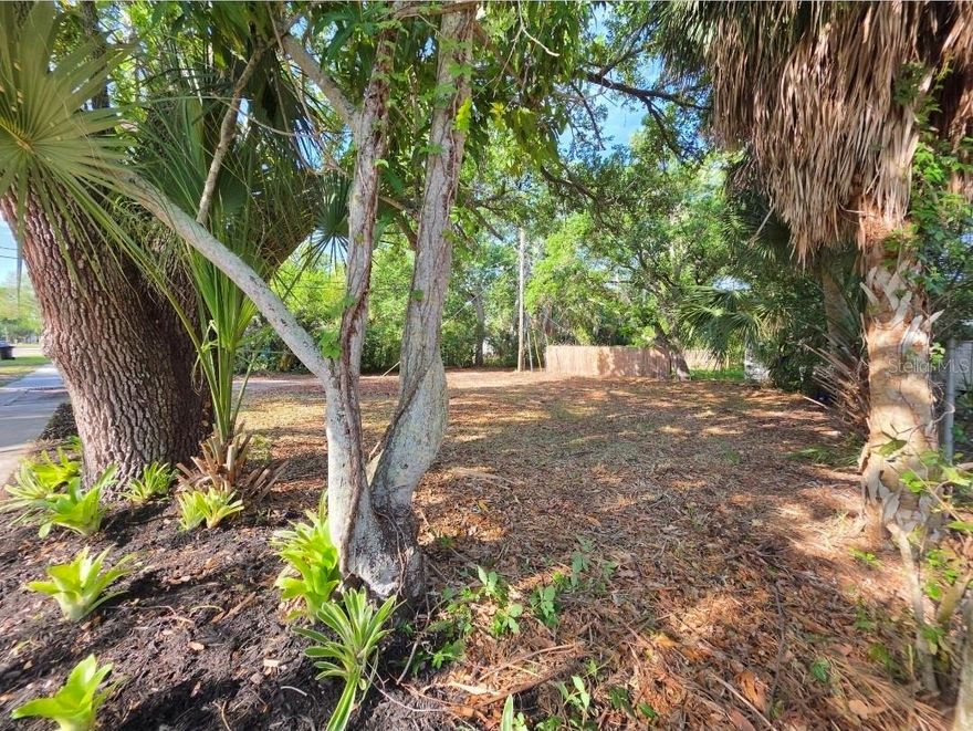 Located in a charming historical area close to award winning eateries, shopping, coffee shops and breweries, luxurious hotels and museums, a thriving art scene, and nightly entertainment in Downtown St. Pete via the 4th St. Corridor. With convenient access to I-75, other major highways, and close proximity to Tampa Bay Innovation Center, USF, Grandview Park Boat Ramp on 6th street this cleared and ready to build lot is in an ideal location. Walking distance to Lake Maggiore, waterfront parks, and minutes away from over $7 Billion in planned development between the Dali Museum south side addition, Tropicana Field & Historic Gas Plant District redevelopment, and the Port St. Pete expansion. Enjoy available utilities from previous structure and pay no impact fees for up to a 1400 square foot home. Surrounded by new construction and redevelopment, this buildable lot offers a prime opportunity in a fast-growing area.