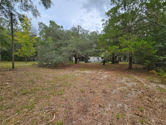 7651 NE 128TH LN, BRONSON, FL 32621 - Image 16eb6b3d32d542fbe7c8f2effe7eaa46/3158977559