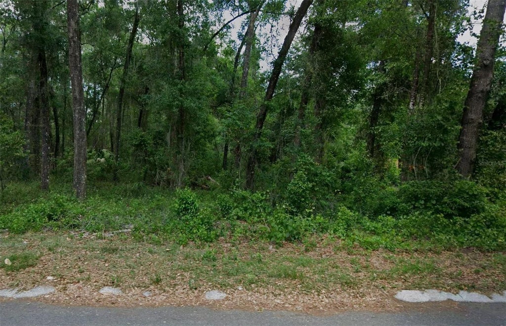Photo of 6033 E Dell Lane, Inverness, FL 34452 (MLS # OM731616)