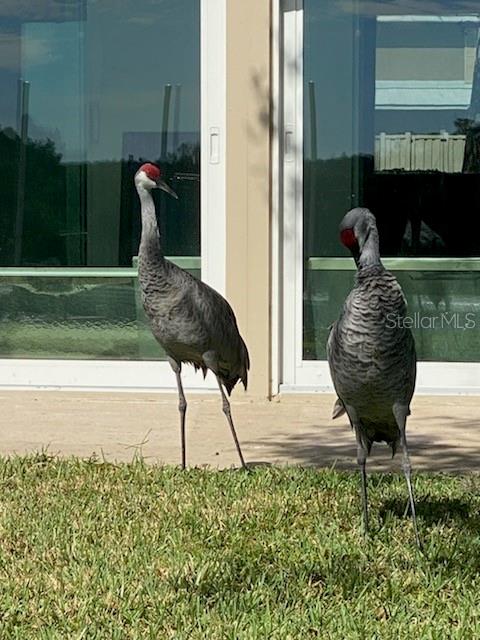 THE BAY VILLAS - Residential