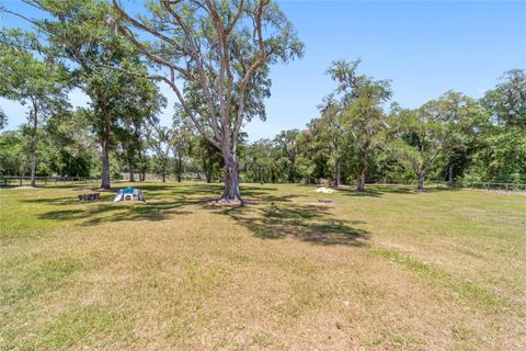 Tiny photo for 21561 SE 30 Street, Williston, FL 32696 (MLS # OM724115)