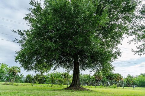 Tiny photo for 2049 Everhigh Acres Road, Clewiston, FL 33440 (MLS # O6413687)