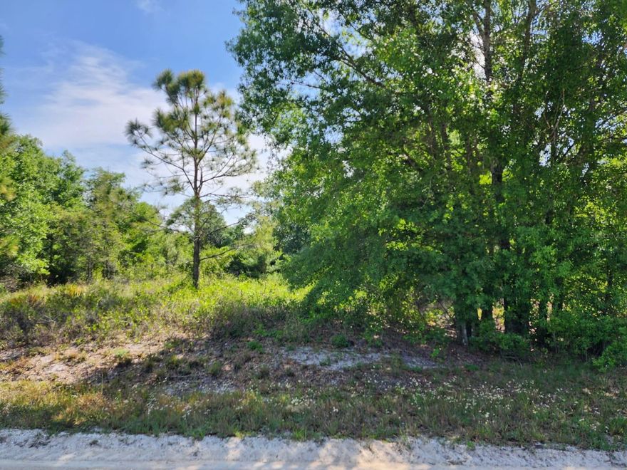 This stunning .23 acre property is exactly what you're looking for! This property is situated in the subdivision of Red Hill Farms which is on the south of Avon Park Lake. This is a unique residential/recreational property located in a peaceful area near Lake Olivia in Avon Park. This beautiful .23 acre property is zoned R1 which allows for site built homes. This .23 acre property in Red Hill Farms Subdivision is one of the fastest growing areas in Highlands County! The land is flat, dry, level, and ready to build on! MAKE IT YOURS TODAY!! This property is absolutely perfect for a vacation getaway or building a permanent residence. This beautiful property is within minutes distance to many small and large lakes like Lake Olivia, Lake Isis, Lake Tulane, Lake Lotela and more!. This property is an hour from Punta Gorda where you can enjoy the warm, crystal clear waters of the Gulf of Mexico. This beautiful lot has easy access to Port St. Lucie, Sarasota, Lakeland and Tampa. It's no wonder more and more are calling it home!