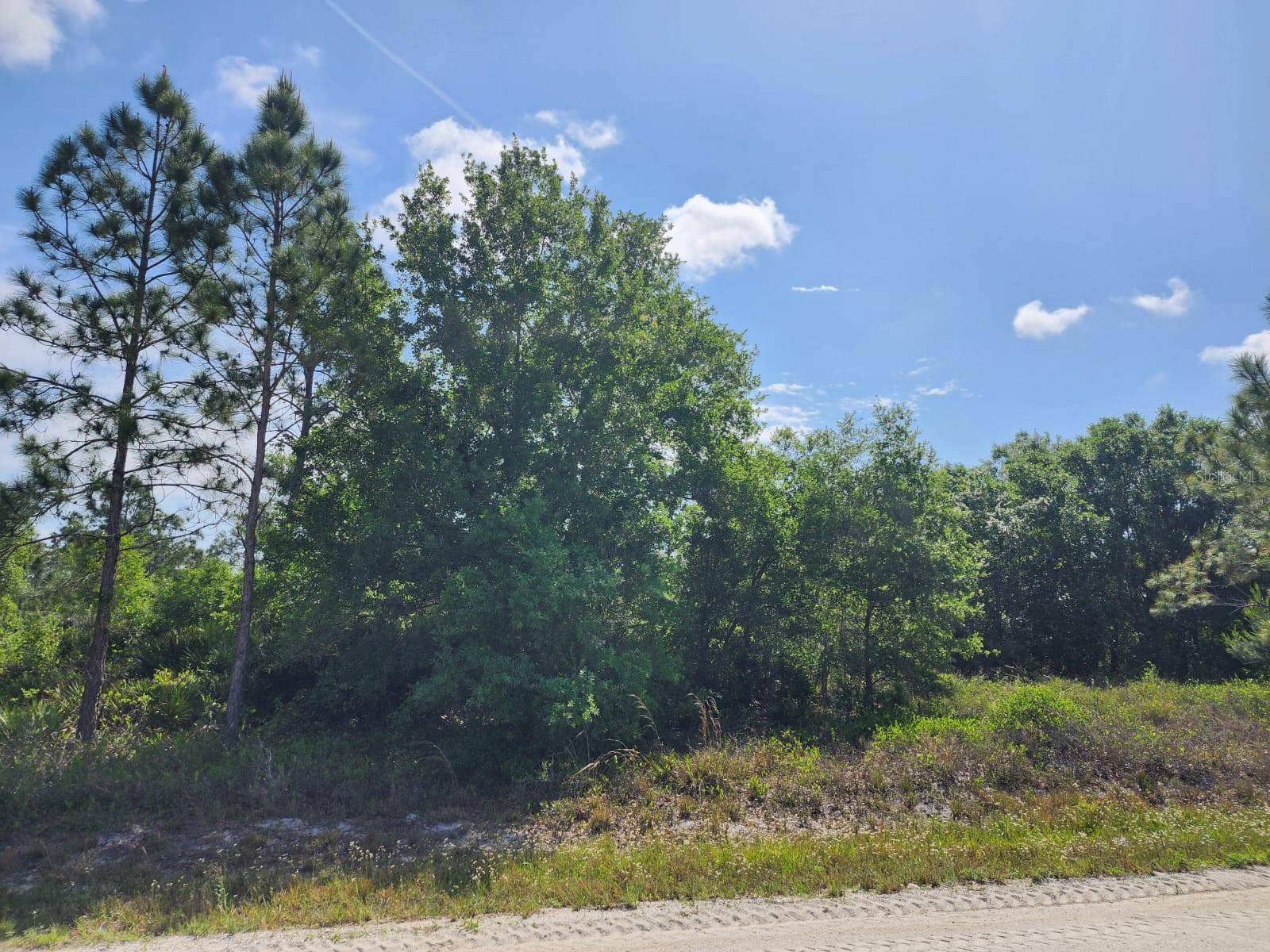 AVON PARK LAKES - Land