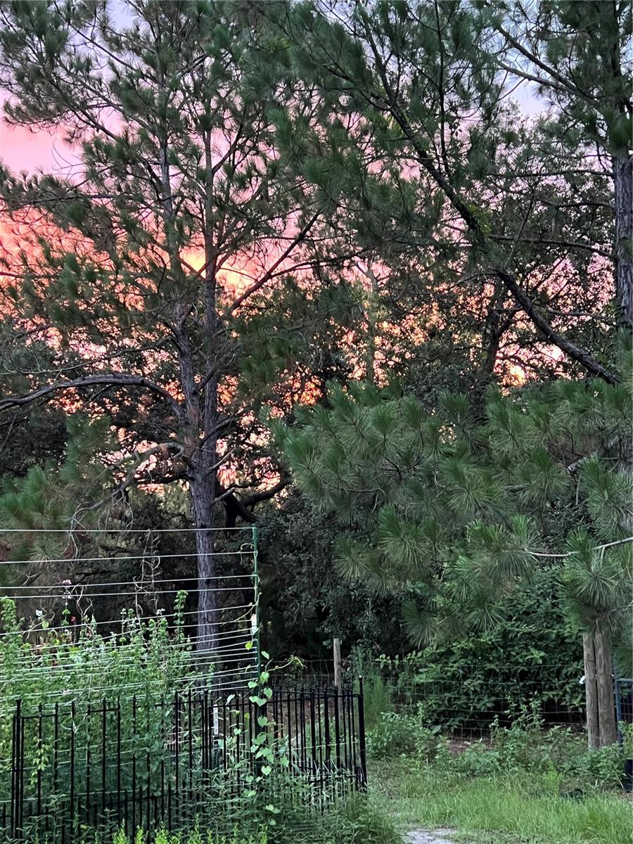 HAPPY TRAILS UNIT 3 UNREC - Residential