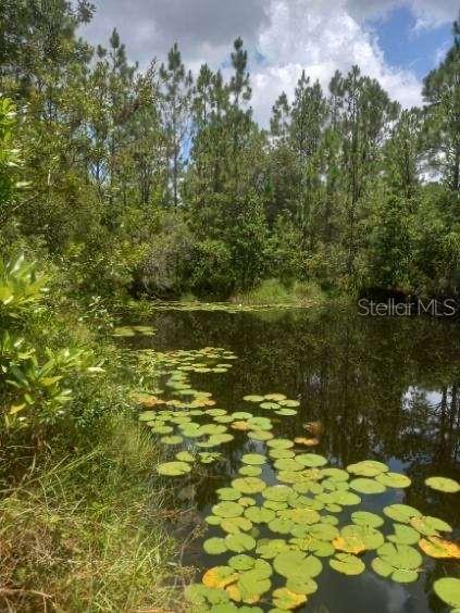 HAPPY TRAILS UNIT 3 UNREC - Residential