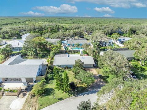 A home in NEW SMYRNA BEACH