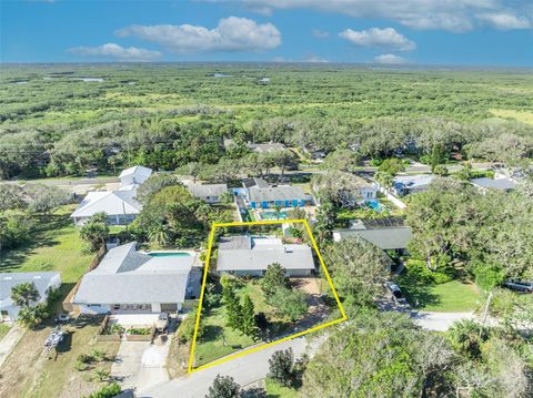 A home in NEW SMYRNA BEACH