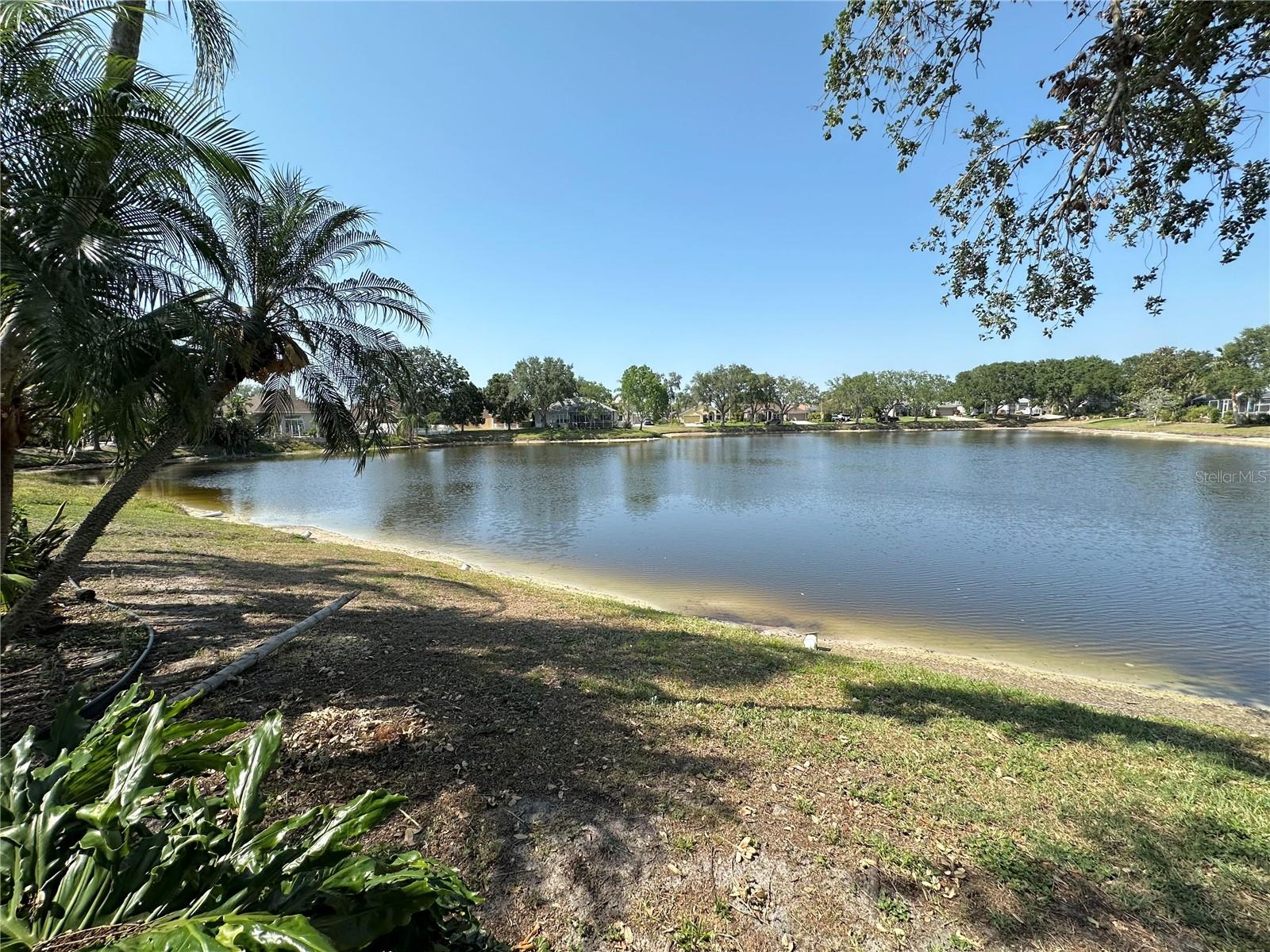 1145 RIVEREDGE DRIVE