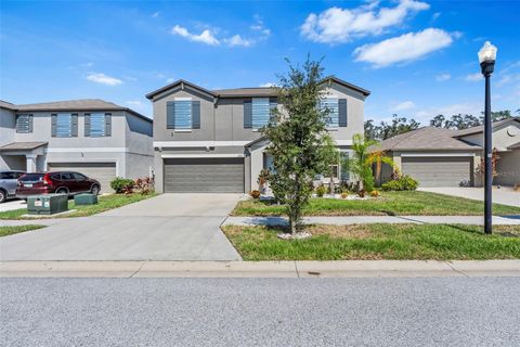 A home in RIVERVIEW