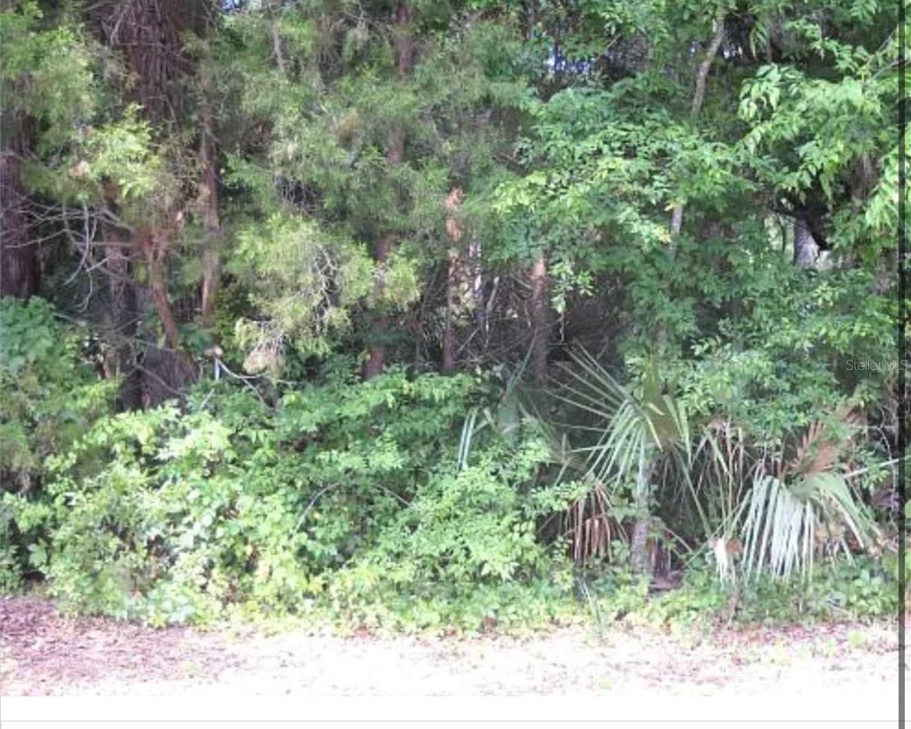 Build your dream house in this lot!