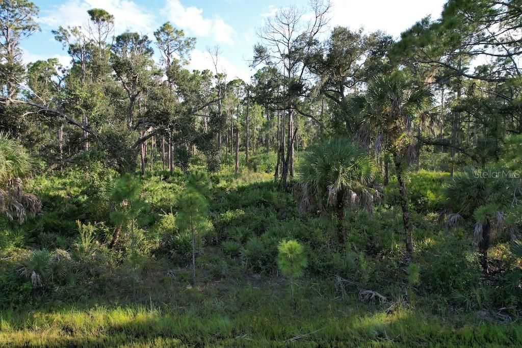 Photo of 13149 Harbison Avenue, Port Charlotte, FL 33953 (MLS # S5131105)