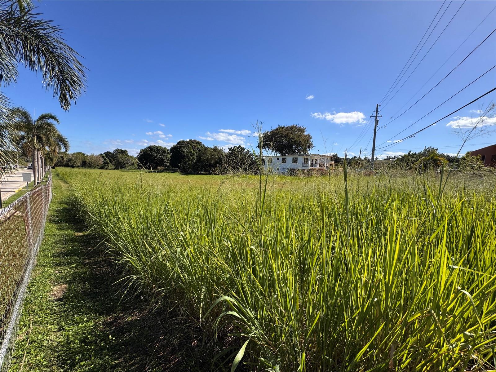 PR-604 LOS RABANOS KM 3.5