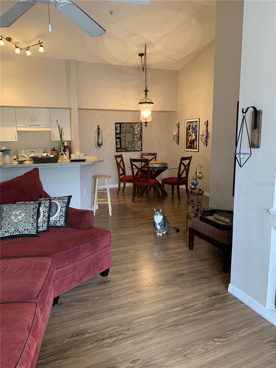 BELLA VILLINO III - Residential Lease