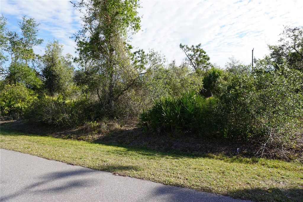Photo of 334 Omen Street, Punta Gorda, FL 33982 (MLS # C7503444)