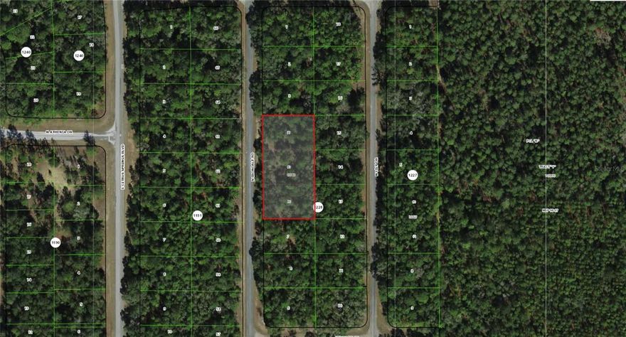 Here’s your chance to own a just-over-one-acre slice of Florida’s beautiful Nature Coast! This spacious vacant lot in the welcoming community of Citrus Springs offers the ideal setting to design and build the home you’ve always envisioned — with plenty of room to spread out and enjoy the Florida lifestyle. Situated on a paved road, this property offers convenient, hassle-free access year-round, making it an excellent choice for those ready to break ground or simply secure a smart land investment for the future. With just over an acre at your disposal, the possibilities are endless — whether you’re dreaming of a custom home with a large yard, a workshop or garage, a garden, or space for your recreational toys and equipment. The generous lot size gives you the breathing room and privacy that smaller lots simply can’t offer.