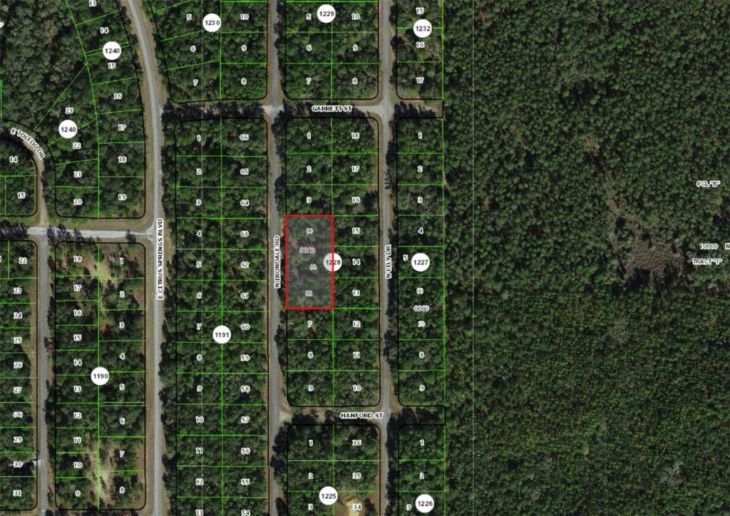 Photo of 9285 N Irondale Road, Dunnellon, FL 34434 (MLS # OM723936)