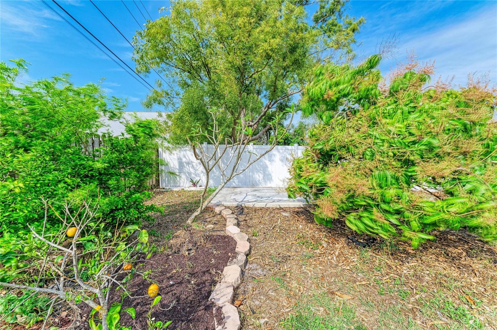 BELAIR - Residential