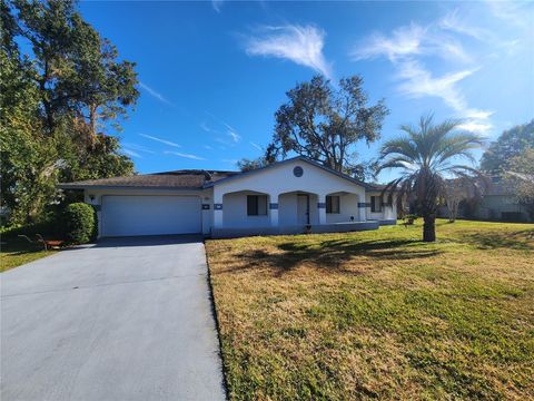 A home in PALM COAST