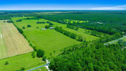 Tiny photo for 19355 SW 25th Place, Dunnellon, FL 34431 (MLS # OM710523)