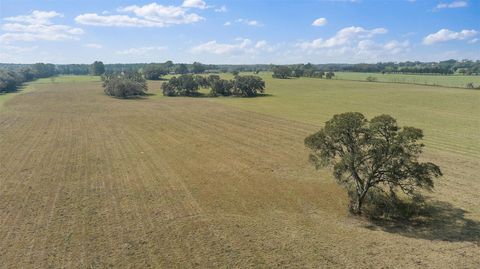 Tiny photo for 19355 SW 25th Place, Dunnellon, FL 34431 (MLS # OM710523)