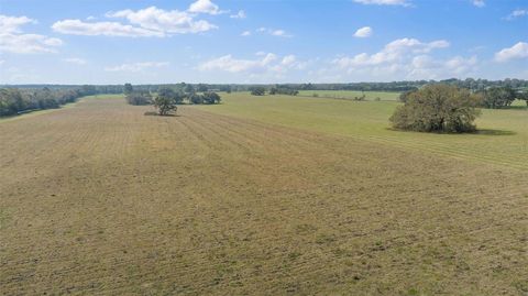 Tiny photo for 19355 SW 25th Place, Dunnellon, FL 34431 (MLS # OM710523)