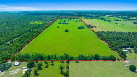 Tiny photo for 19355 SW 25th Place, Dunnellon, FL 34431 (MLS # OM710523)