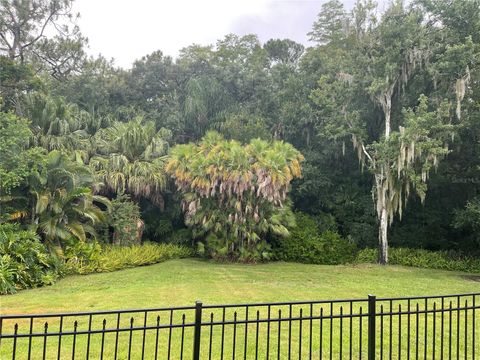 A home in PALM HARBOR