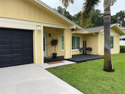 A home in PALM HARBOR