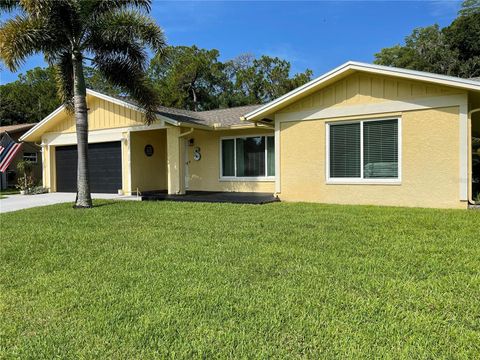 A home in PALM HARBOR