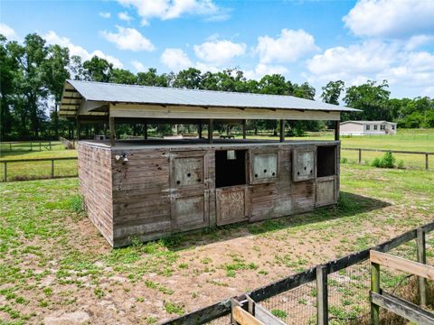 Tiny photo for 3040 NE 97th Street Road, Anthony, FL 32617 (MLS # OM703266)