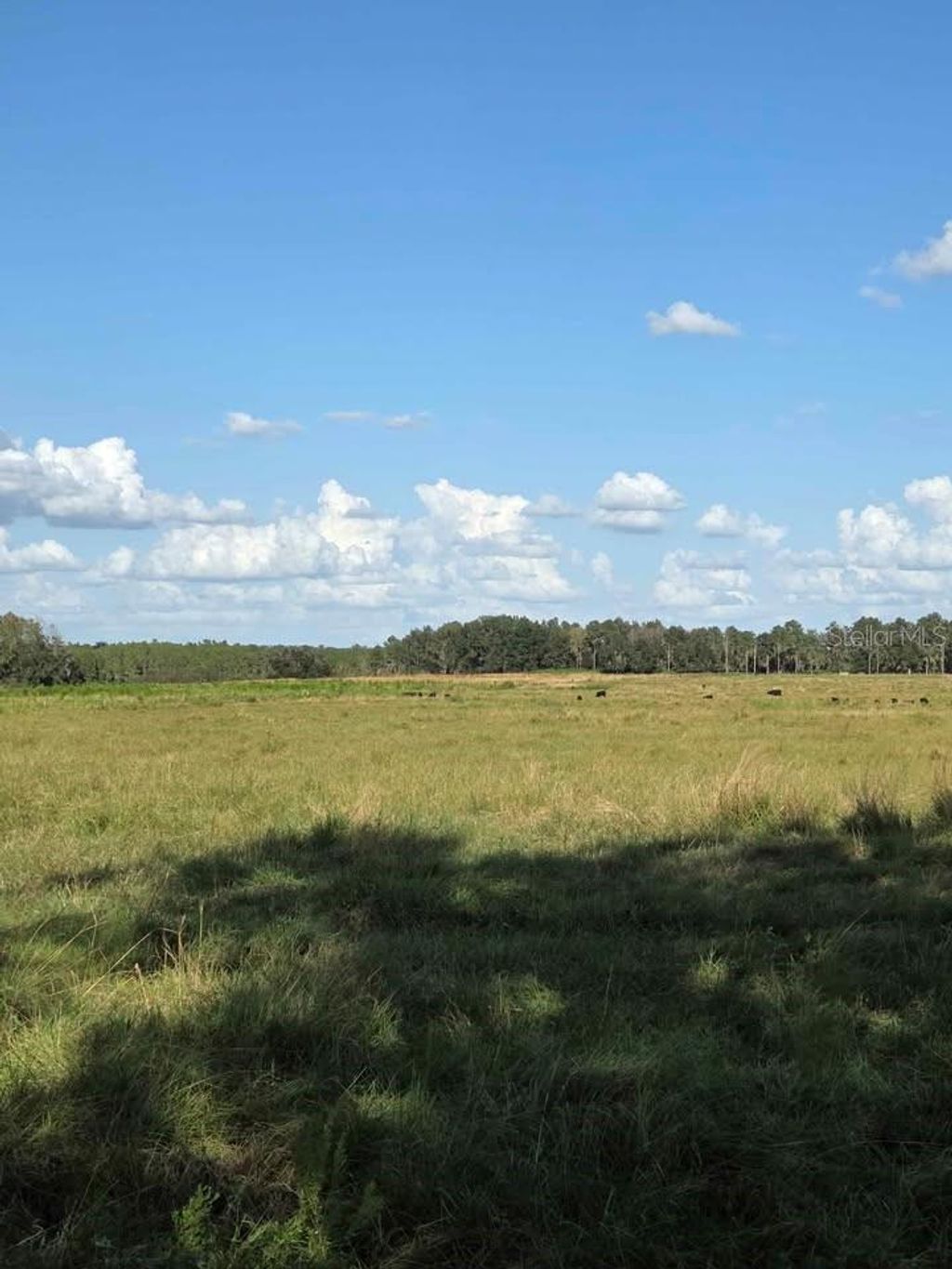 Photo of Fort Meade, FL 33841 (MLS # L4957760)