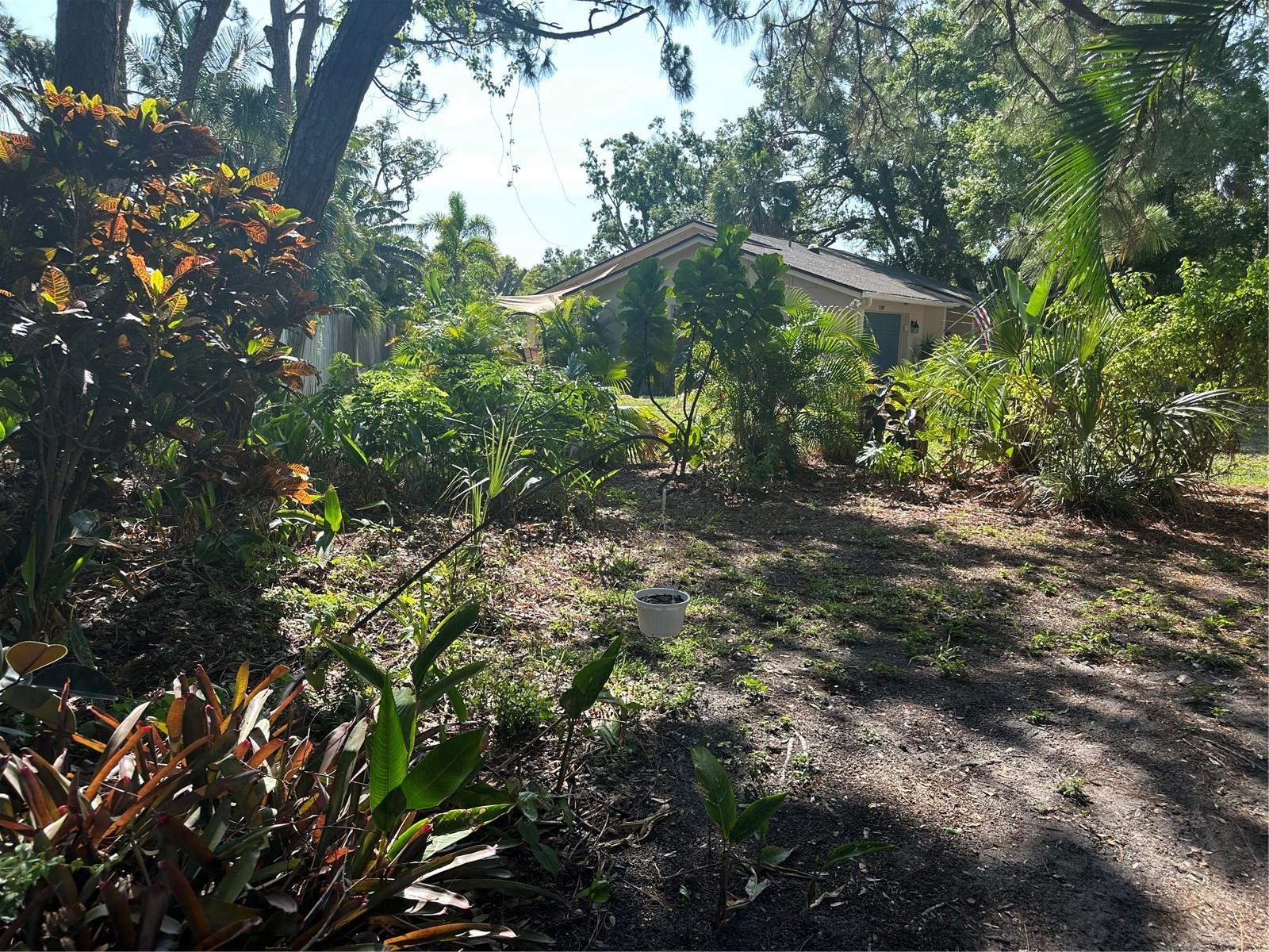 PINE GARDENS - Residential