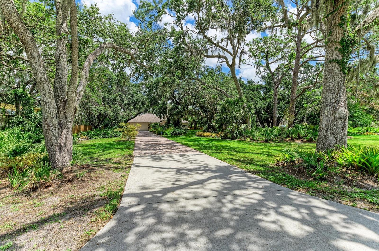 3217 OAK GROVE DRIVE