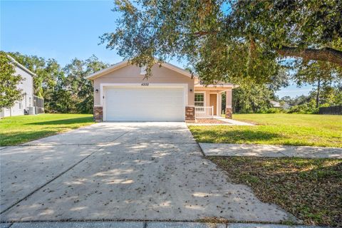 A home in WESLEY CHAPEL