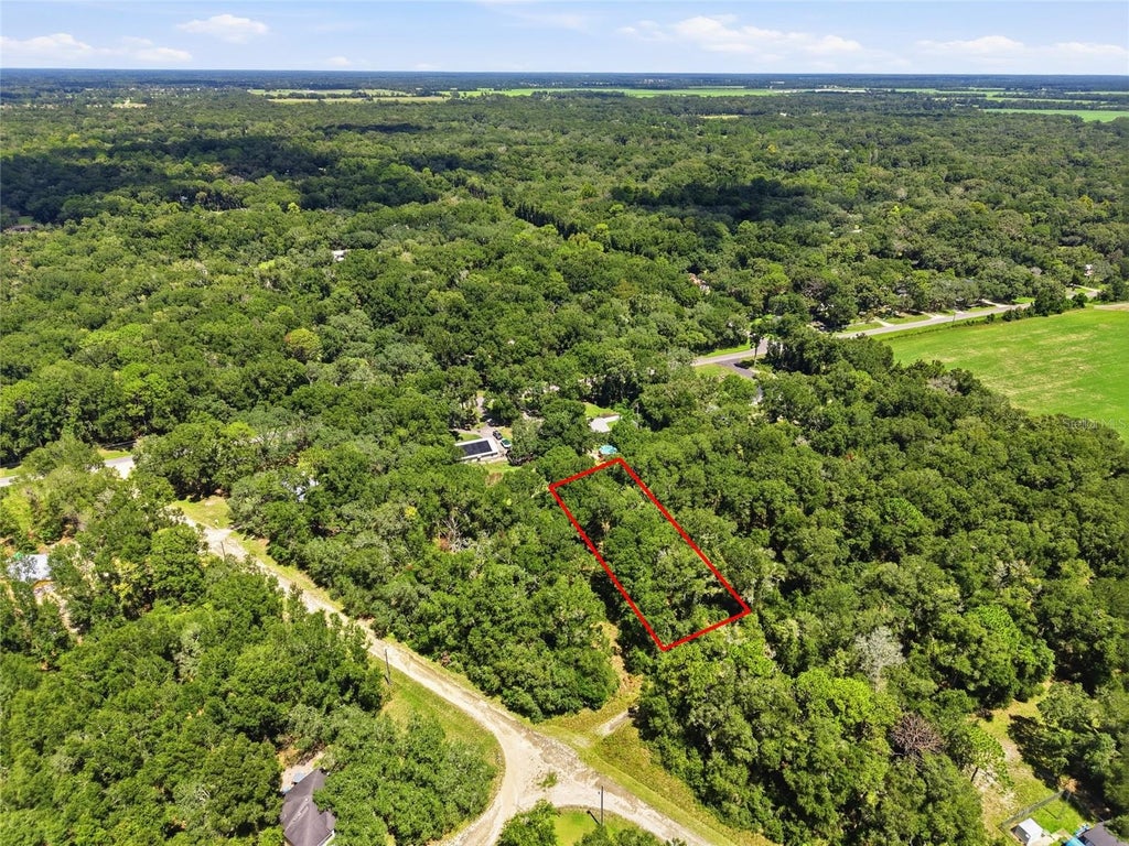 Photo of 12 NW 164th Street, Fanning Springs, FL 32693 (MLS # GC543522)