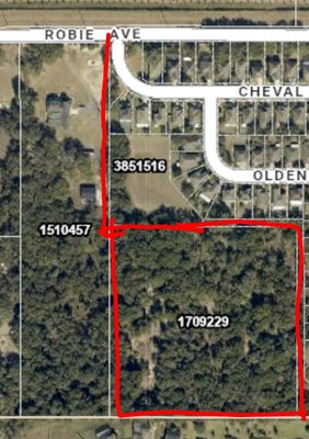 3016 ROBIE AVE, MOUNT DORA, FL 32757 - Image 172956e4a3d4f79ed0f3e8b07b719d8a/4144270191