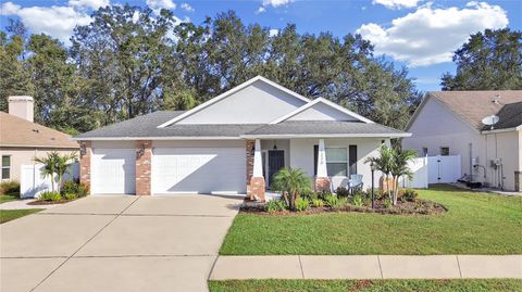 A home in PLANT CITY